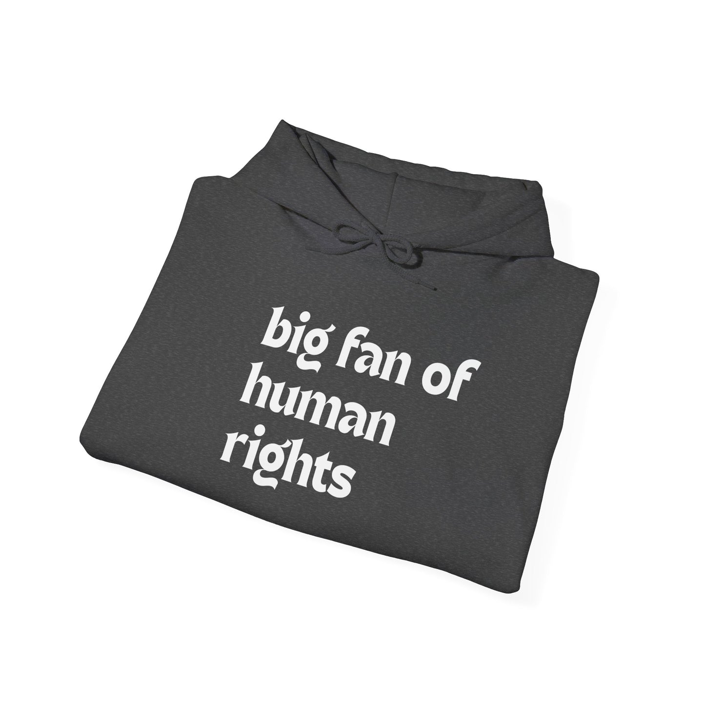Unisex "Big Fan of Human Rights" Hoodie
