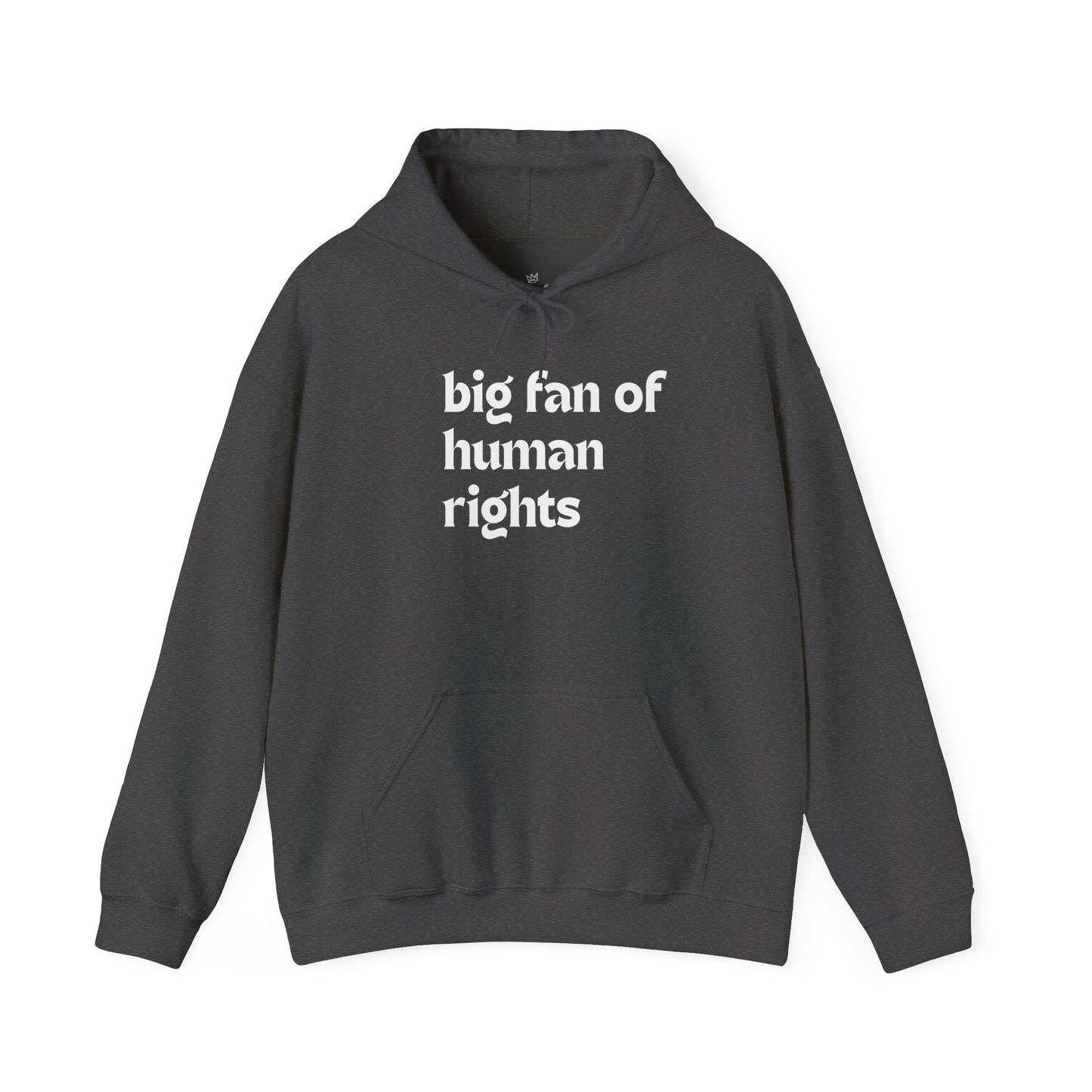 Unisex "Big Fan of Human Rights" Hoodie