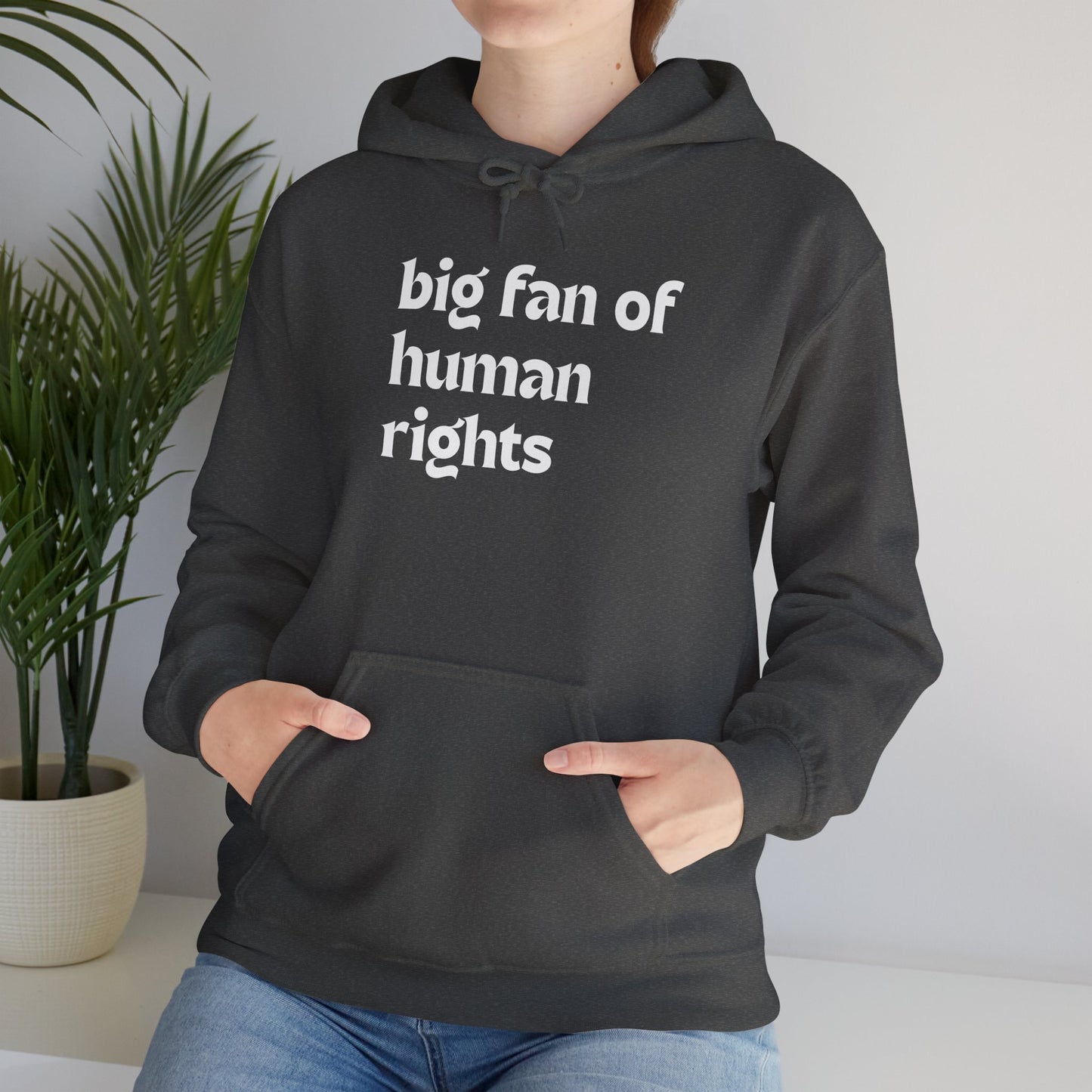 Unisex "Big Fan of Human Rights" Hoodie