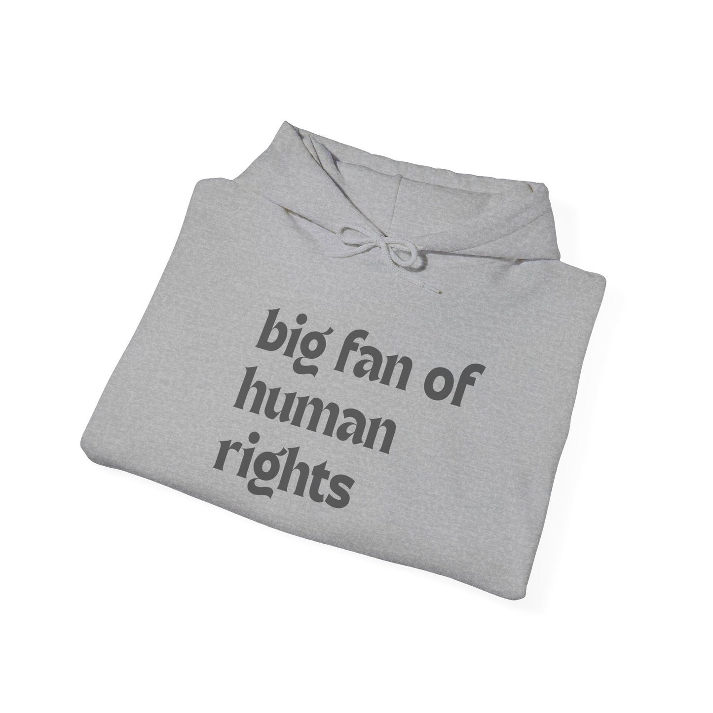 Unisex "Big Fan of Human Rights" Hoodie